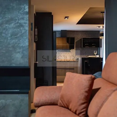 Apartment Atico Dieguix By Silastur